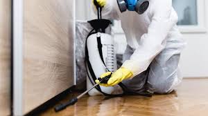 Best Residential Pest Control  in Maurice, LA